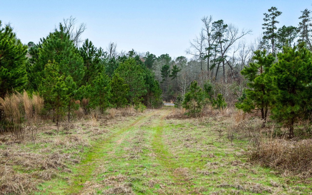 Rusk County 20 Acres