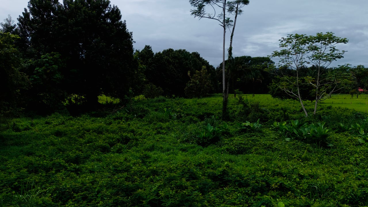 Strategic 5000sqm Commercial Property in Uvita: Perfect for any Business Vision