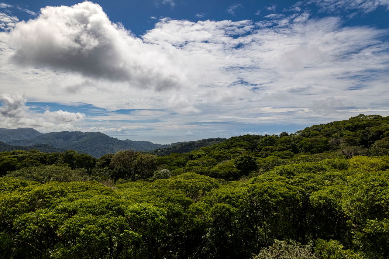 NEW PRIVATE MOUNTAIN HOME WITH OCEAN VIEWS ABOVE LAGUNAS