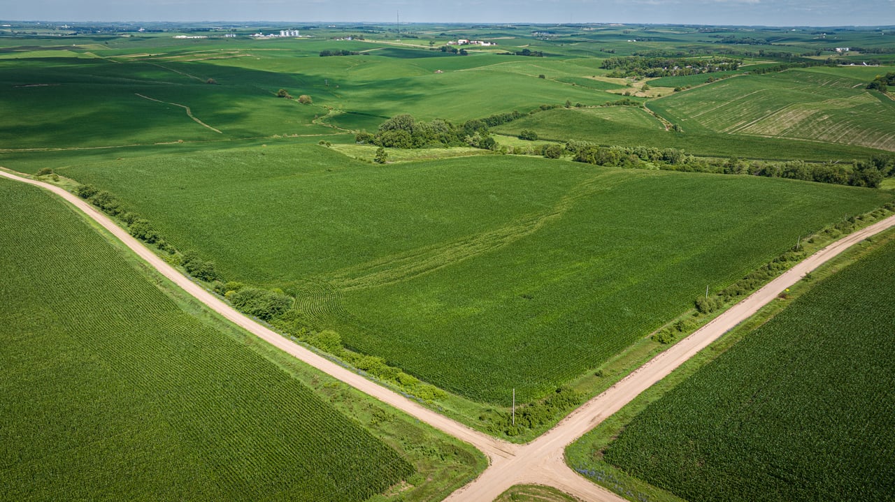 +/- 80 Acres E1/2 SE1/4 13-20-3 Adams Township, Colfax County, Nebraska