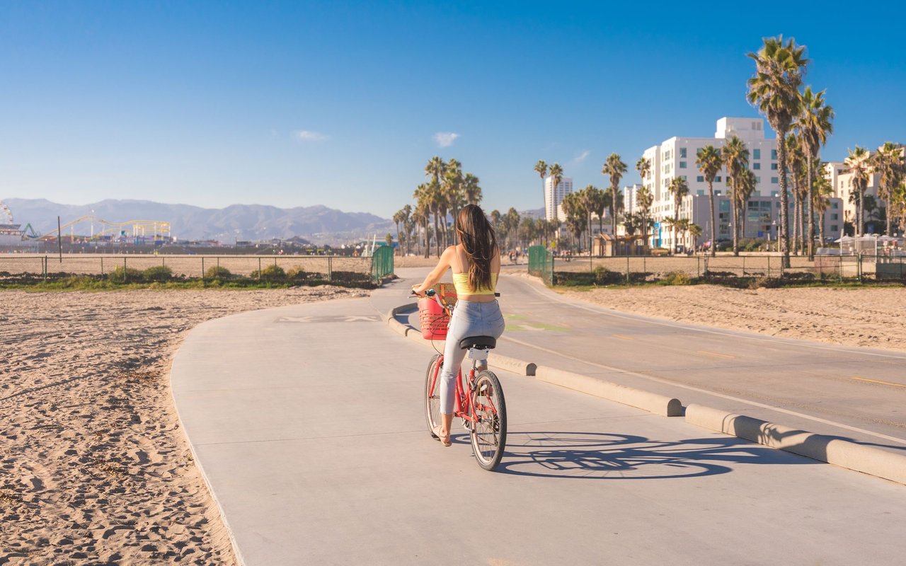 A woman rides a bicycle along a sunny beachfront path lined with palm trees.