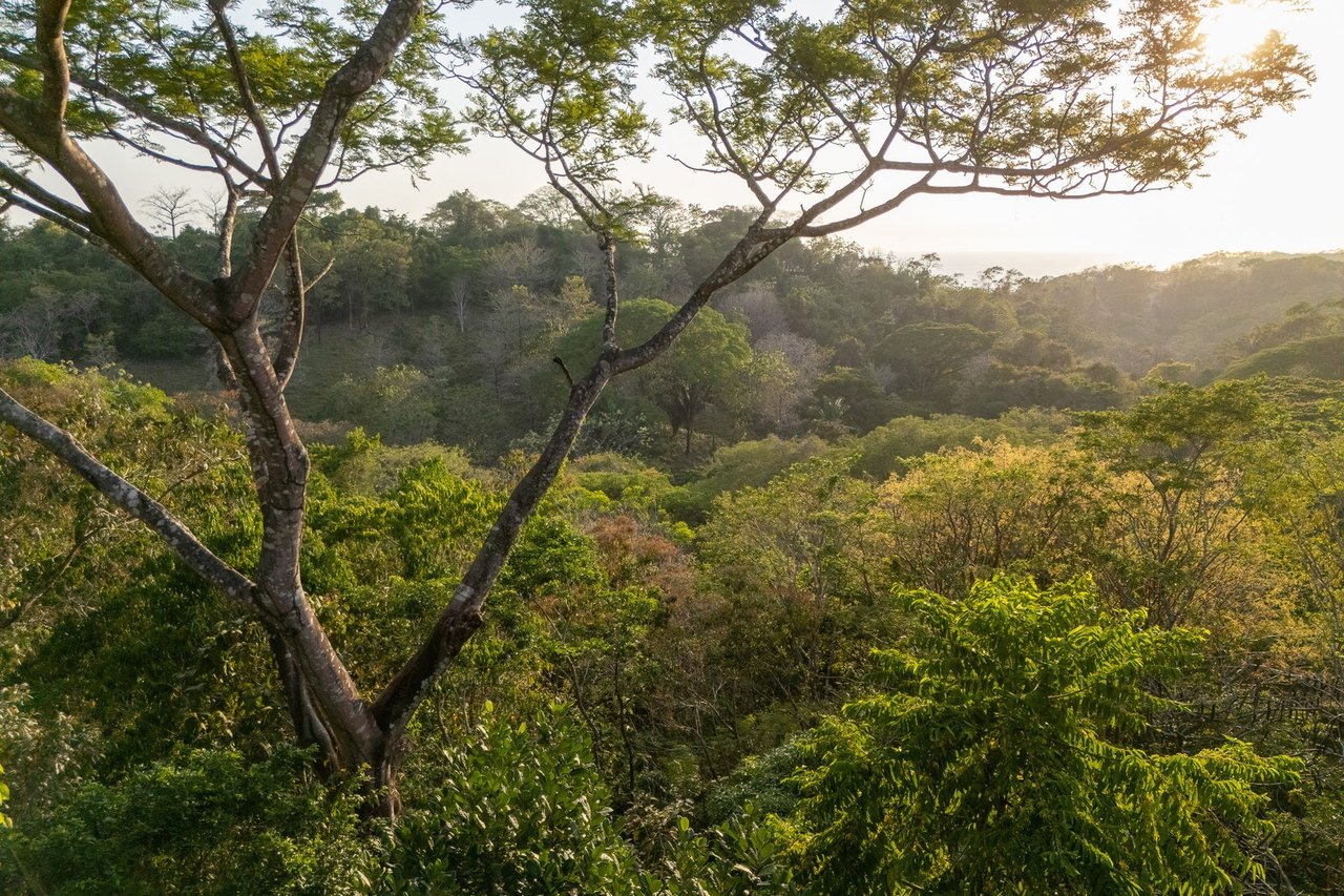 Exclusive Ocean View Development Homesite, Santa Teresa, Puntarenas