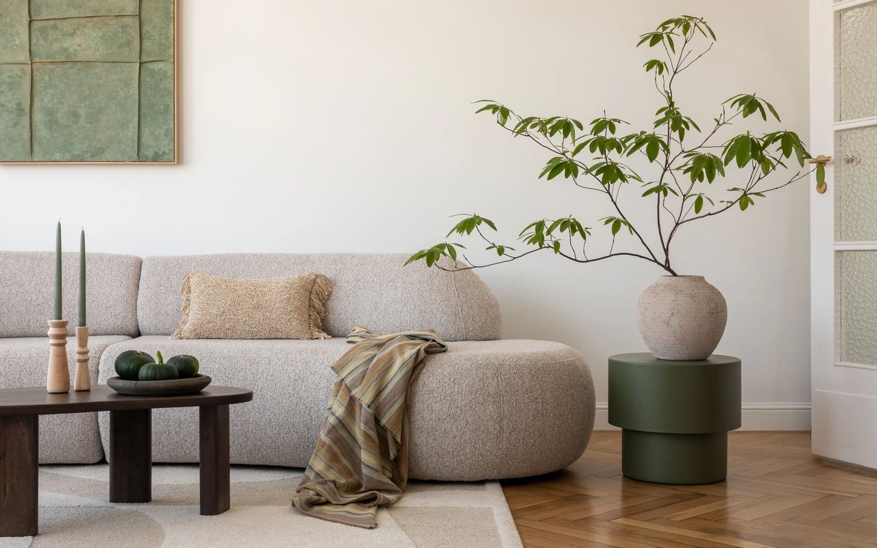 Fight Allergies with Energy Efficiency!