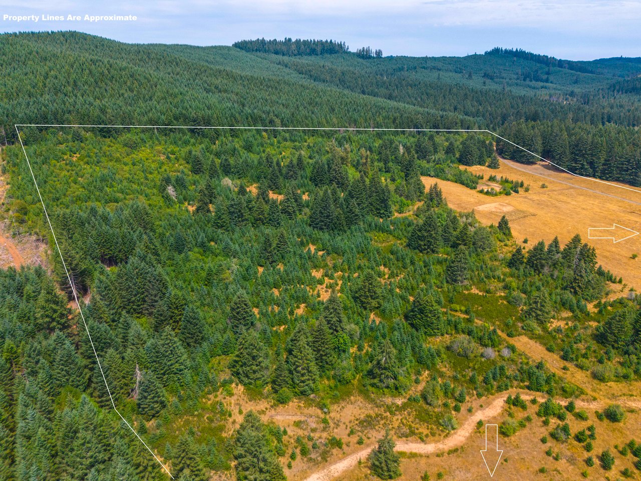 Sheffler Farm & Forest