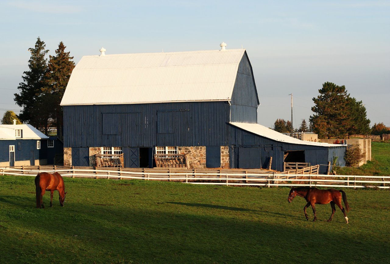Small Ranch Estates in Bixby, Oklahoma | Linda Smalley