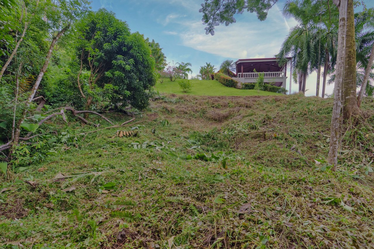 Build-Ready Lot for Sale in Ojochal – Palmera del Trópico Phase 9 | Gated Community, Nature & Beaches Nearby