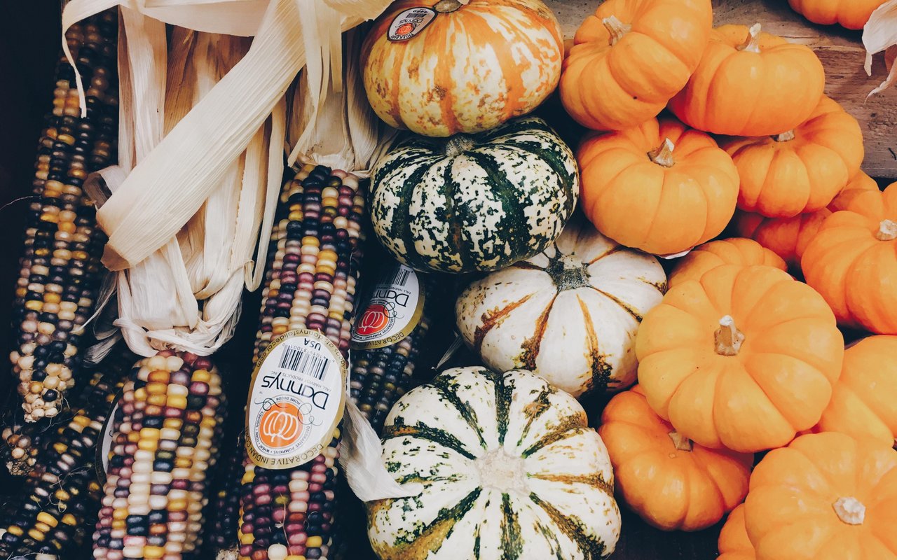 October Festival Guide 2019 in Richmond
