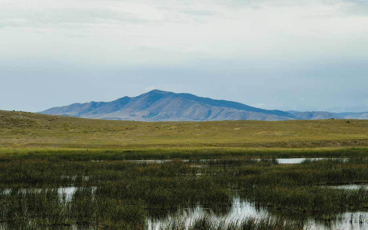 Laramie