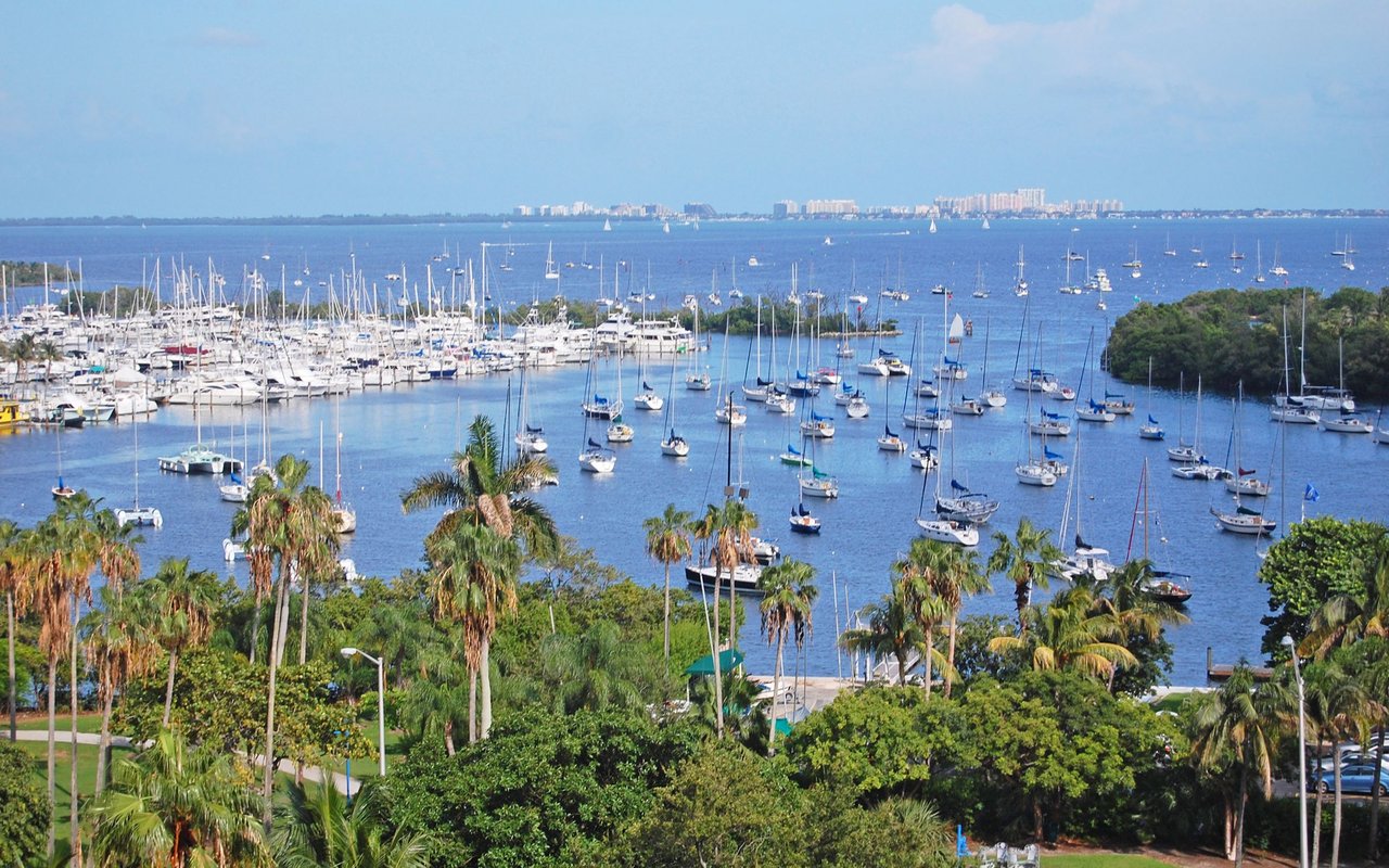 Coconut Grove