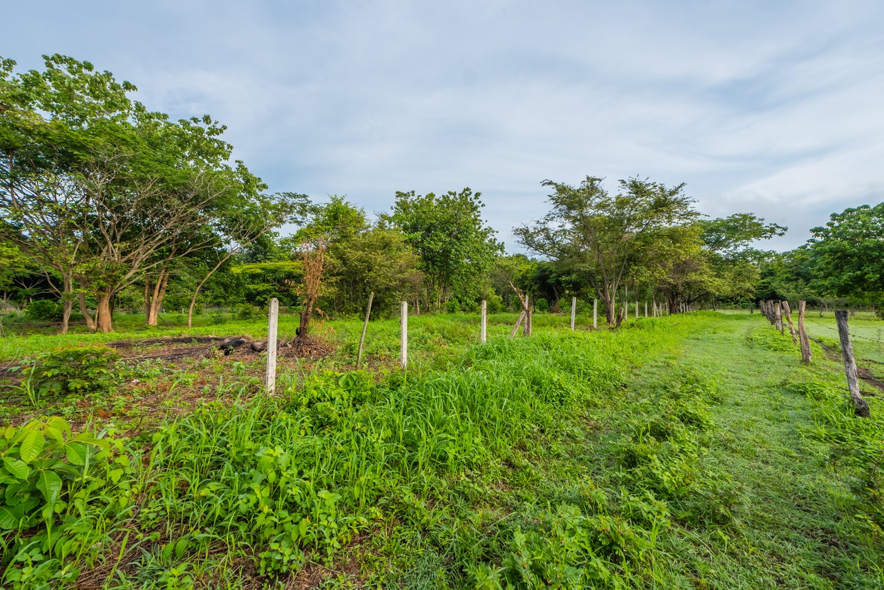 La Garita de Tamarindo Lot |1.3-Acre Home Site Near Top Beaches, Private, Scenic, and Well-Located