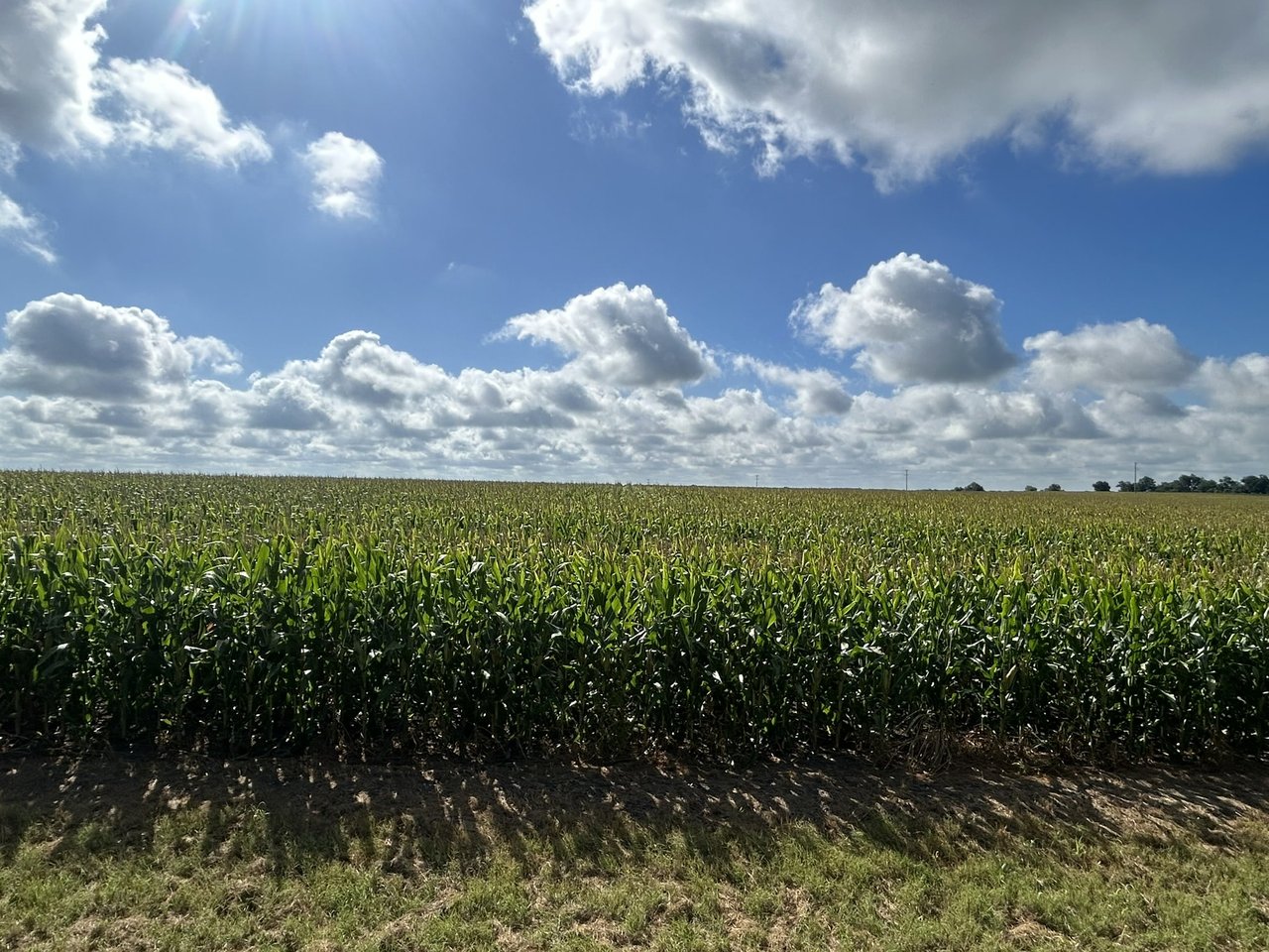 25 Acres in Temple, Tx