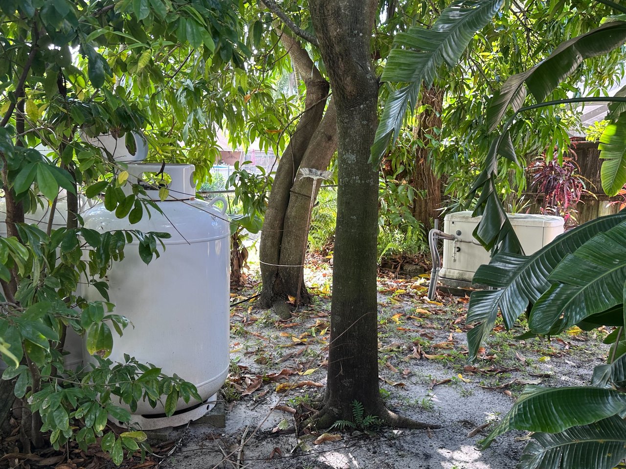 8080 NW 51st  St Lauderhill, FL 33351