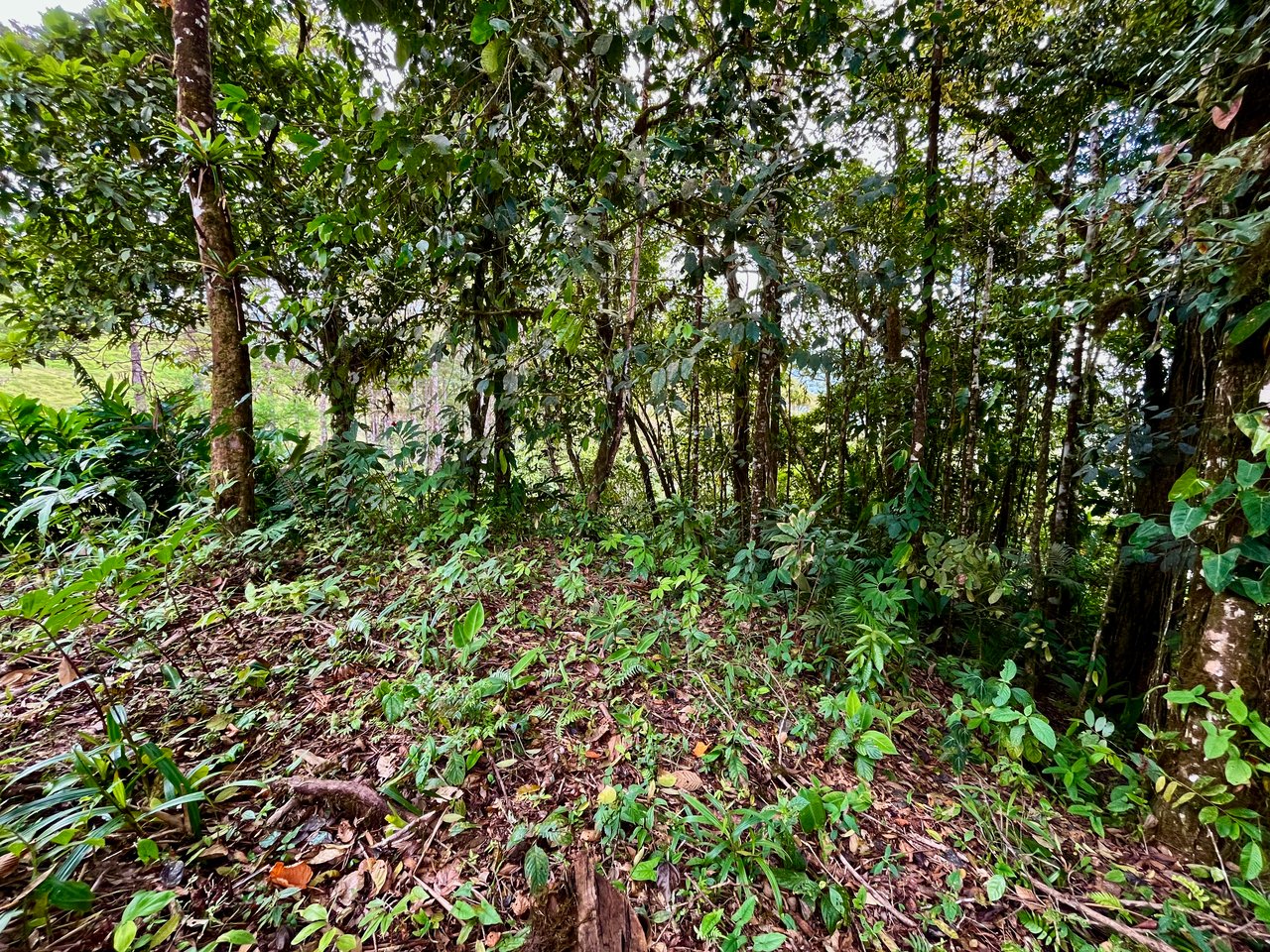 San Luis Ridgetop Ocean & Mountain View Property with Multiple Building Sites!