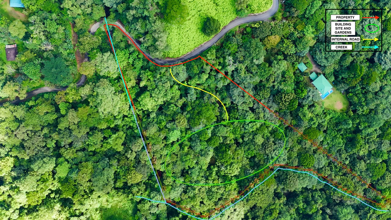 Selva Vista Estate – 5.9 Acres of Wild Beauty