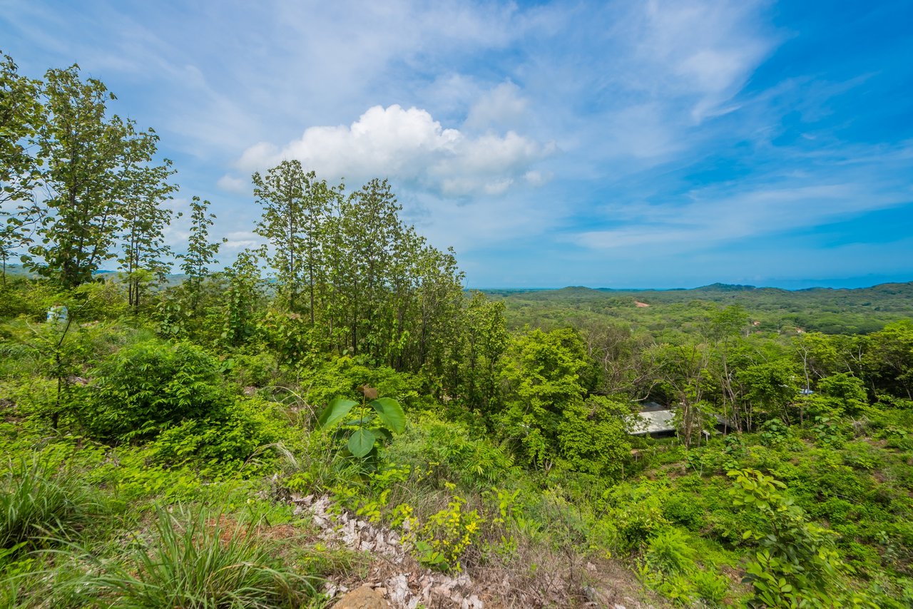Lot 81, Rancho Villareal