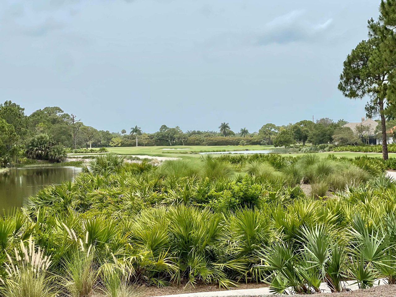 Collier's Reserve