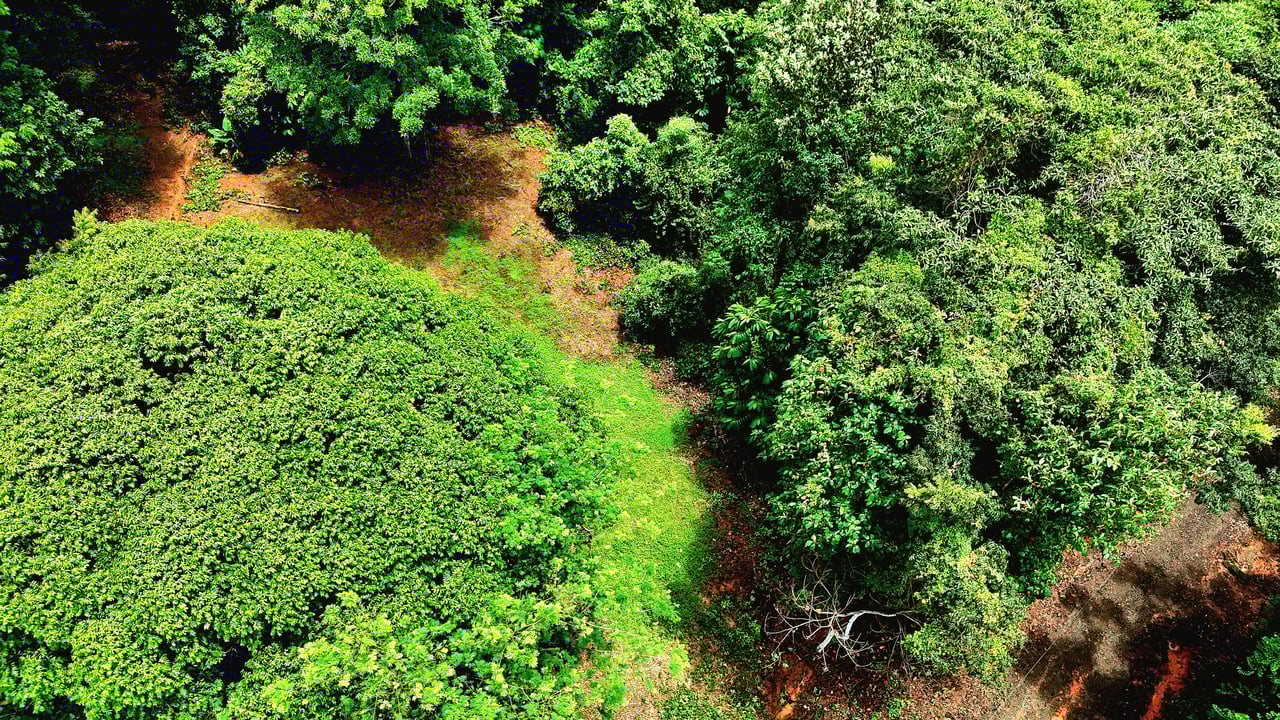 Costa Azul Residential Project - Tres Ríos de Osa, Costa Rica