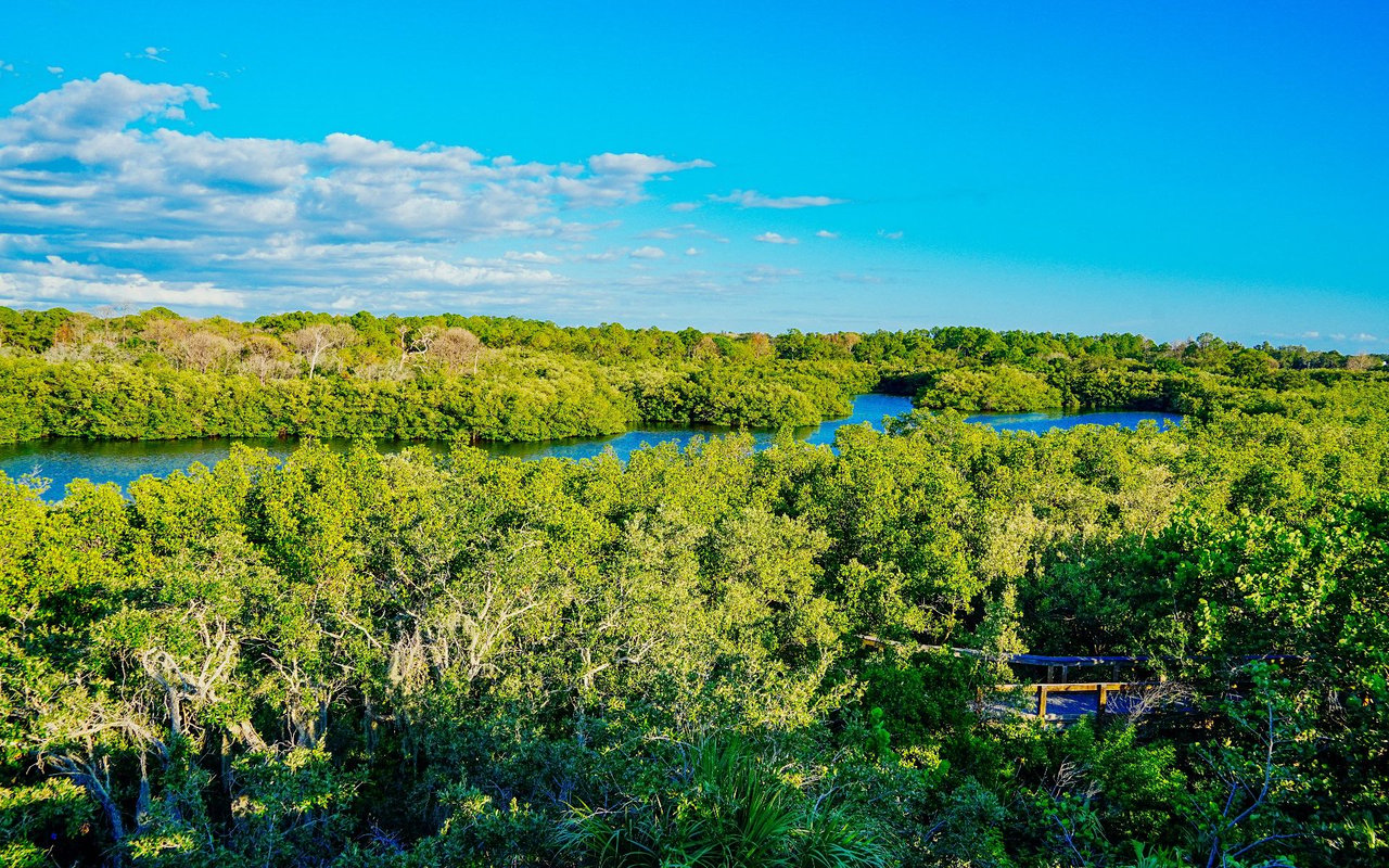 Lady Lake