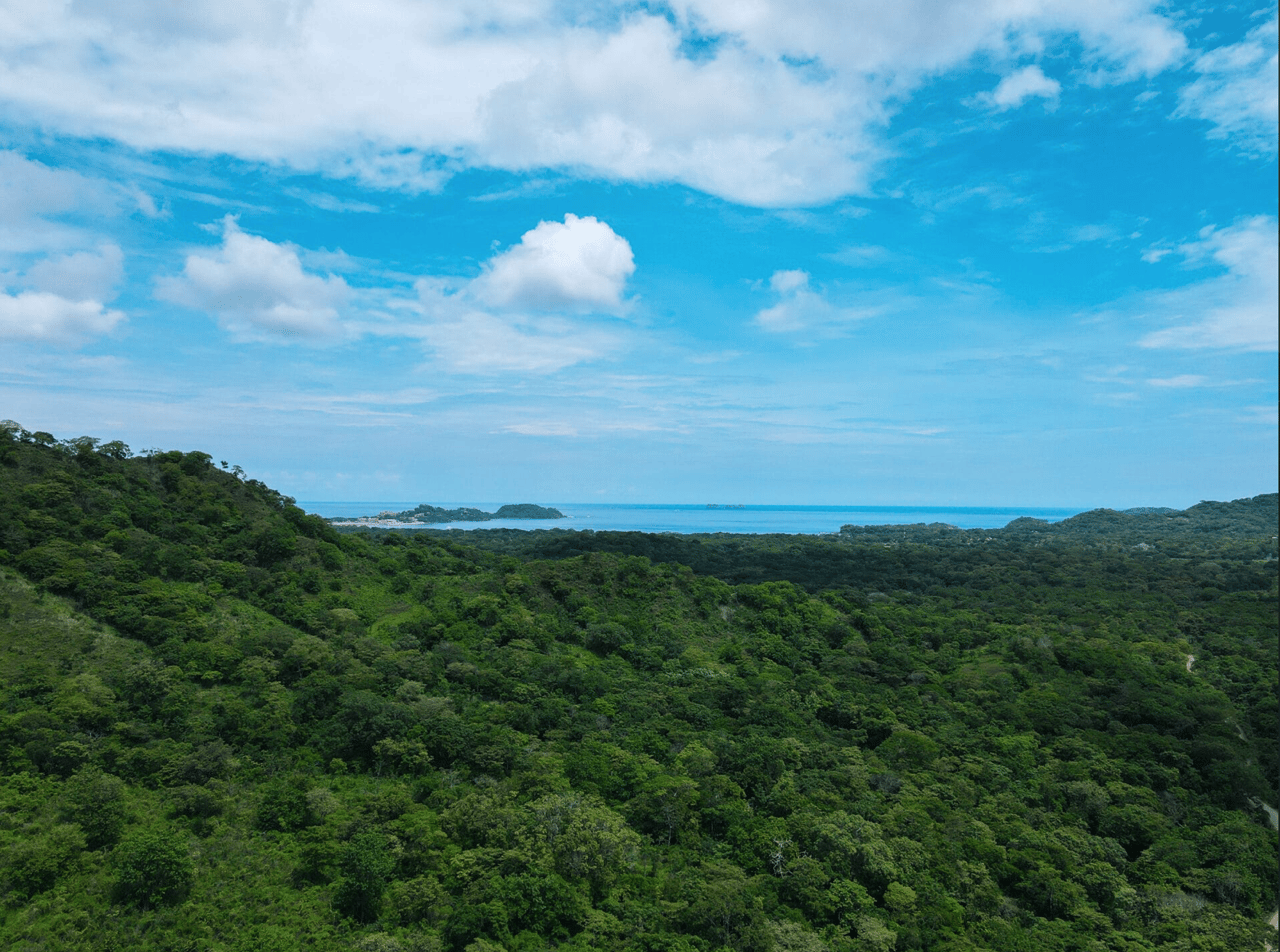 Potrero Finca - 47 Acre Ocean And Mountain Views