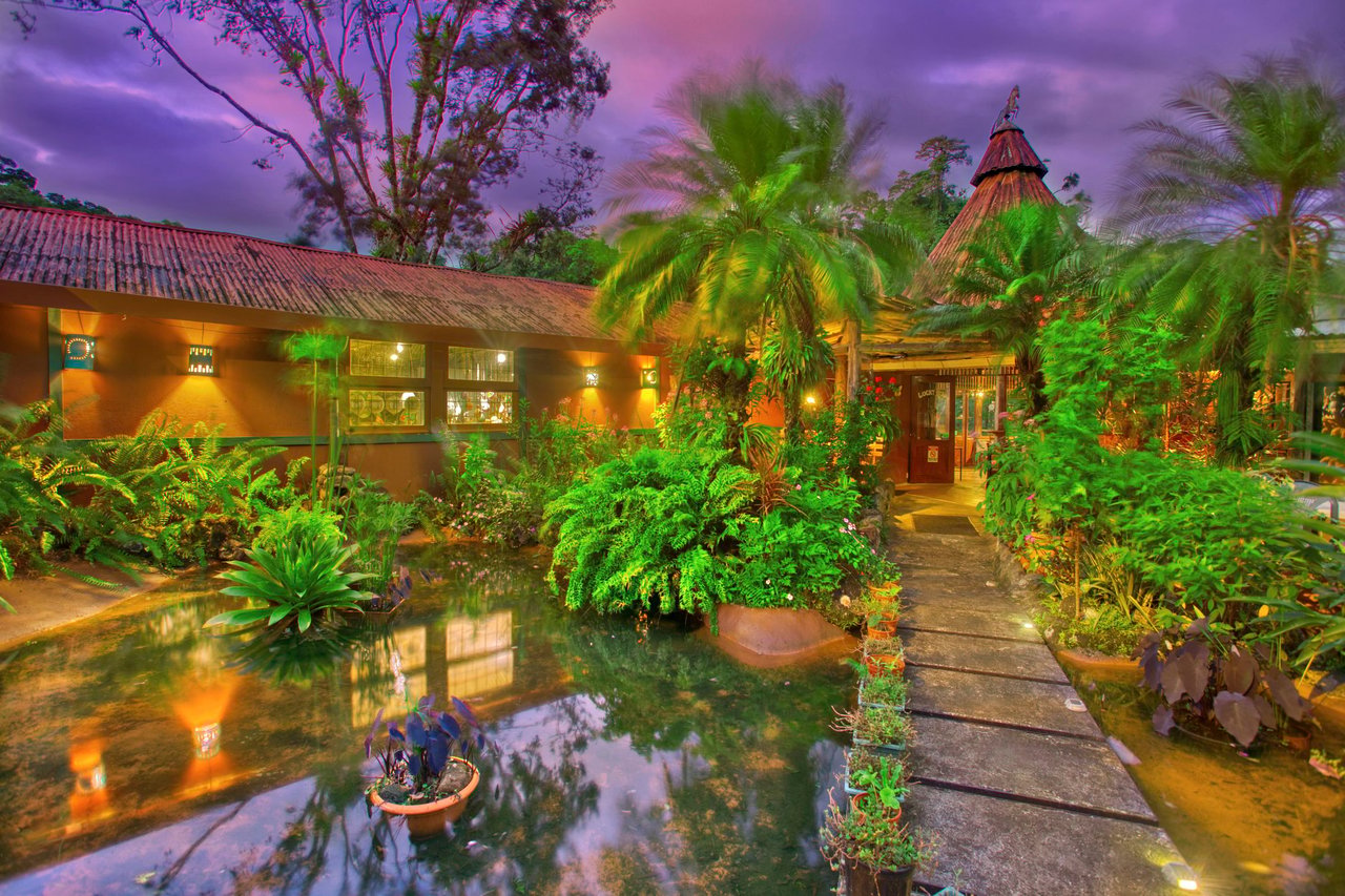 The Lucky Bug | Boutique Hotel & Investment Opportunity in Nuevo Arenal
