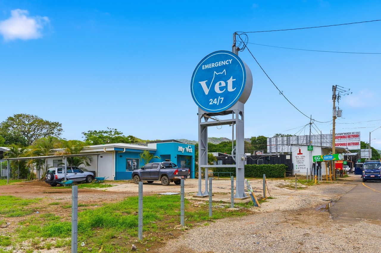 Vet Clinic | Prime Commercial Property & Veterinary Clinic For Sale