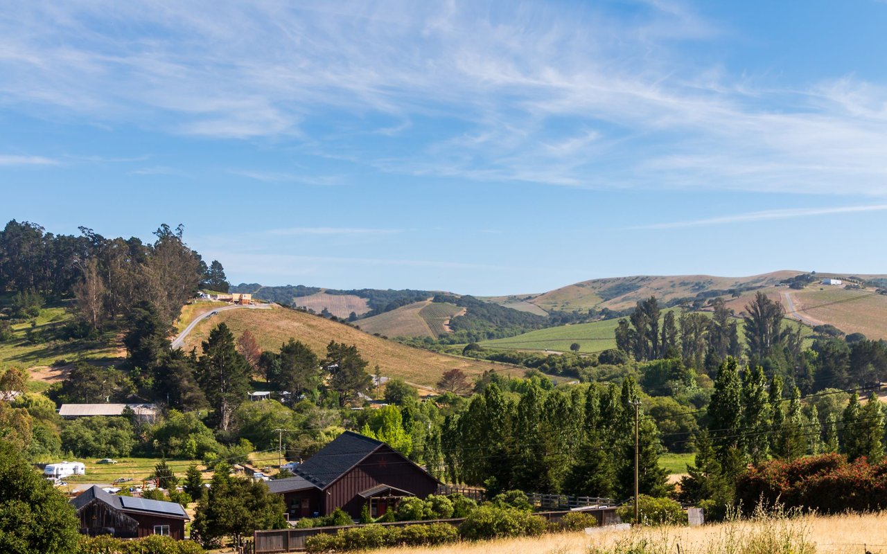 Sebastopol