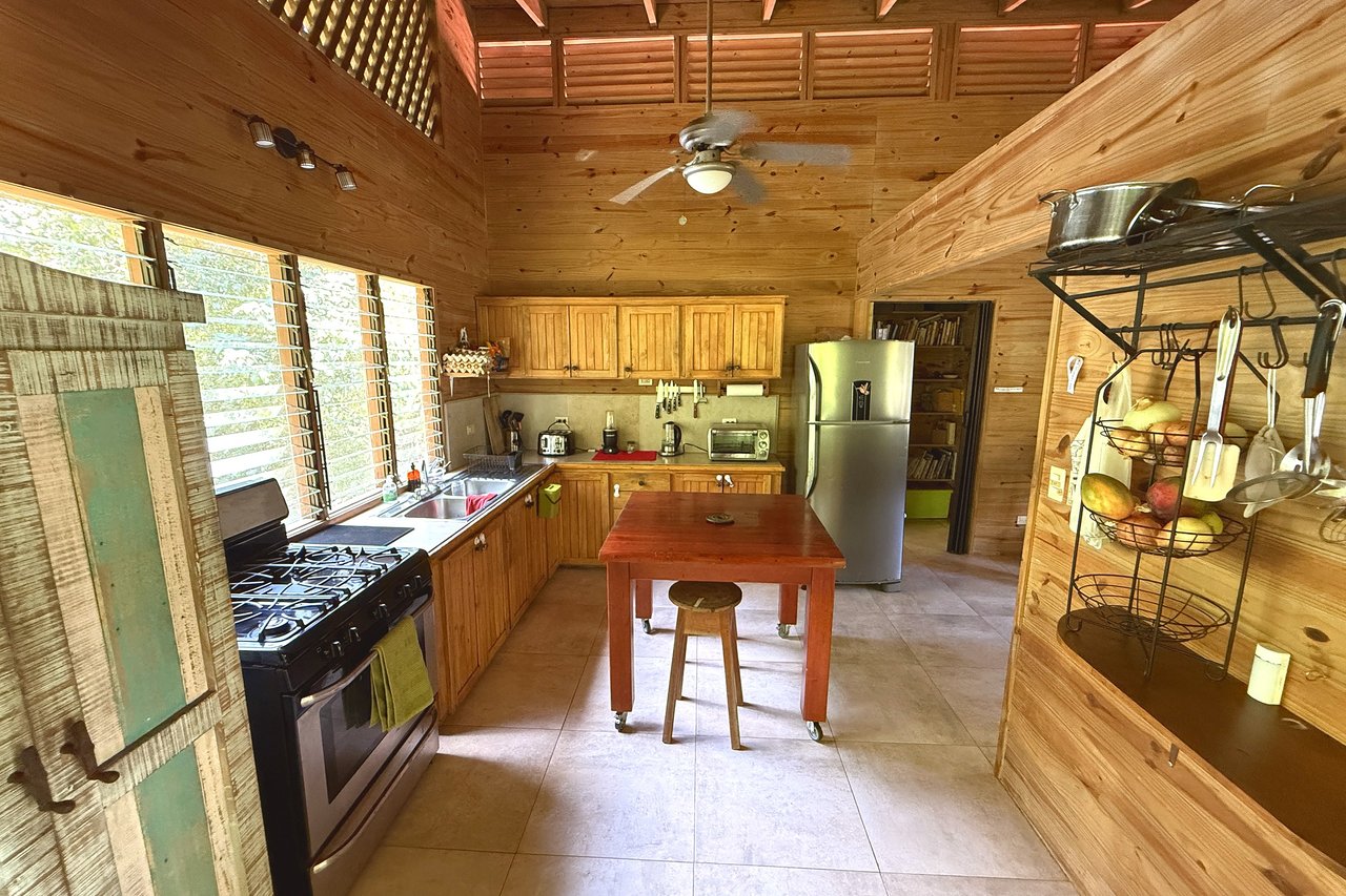  Gorgeous Jungle Hotel with 11 Beds including Owner/Manager Unit, Sparkling Pool & River Setting in Ojochal Costa Rica
