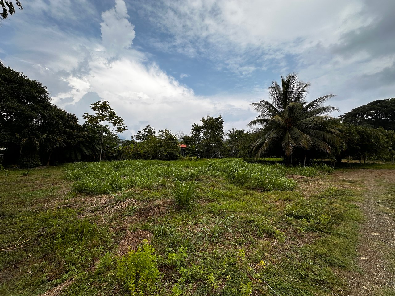 Beach Area Lot in Quiet Corner on Uvita Bahia