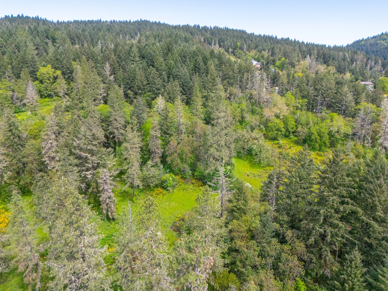SUTHERLIN WOODLOTS