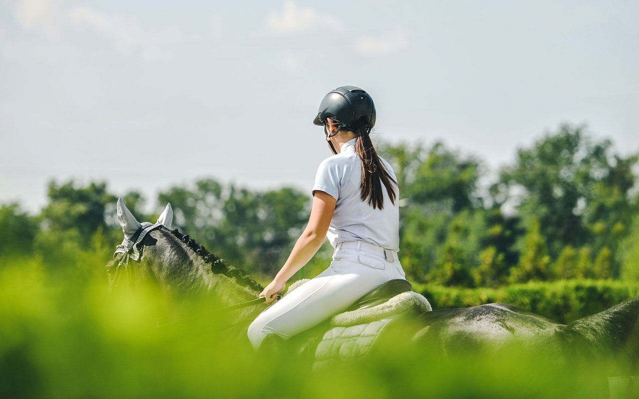 Rider in white equestrian clothes on a gray horse amid sunlit greenery.