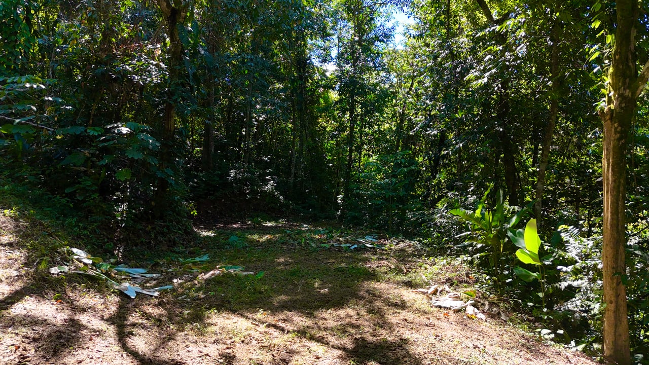 1.4-acre gated lot in Uvita.
