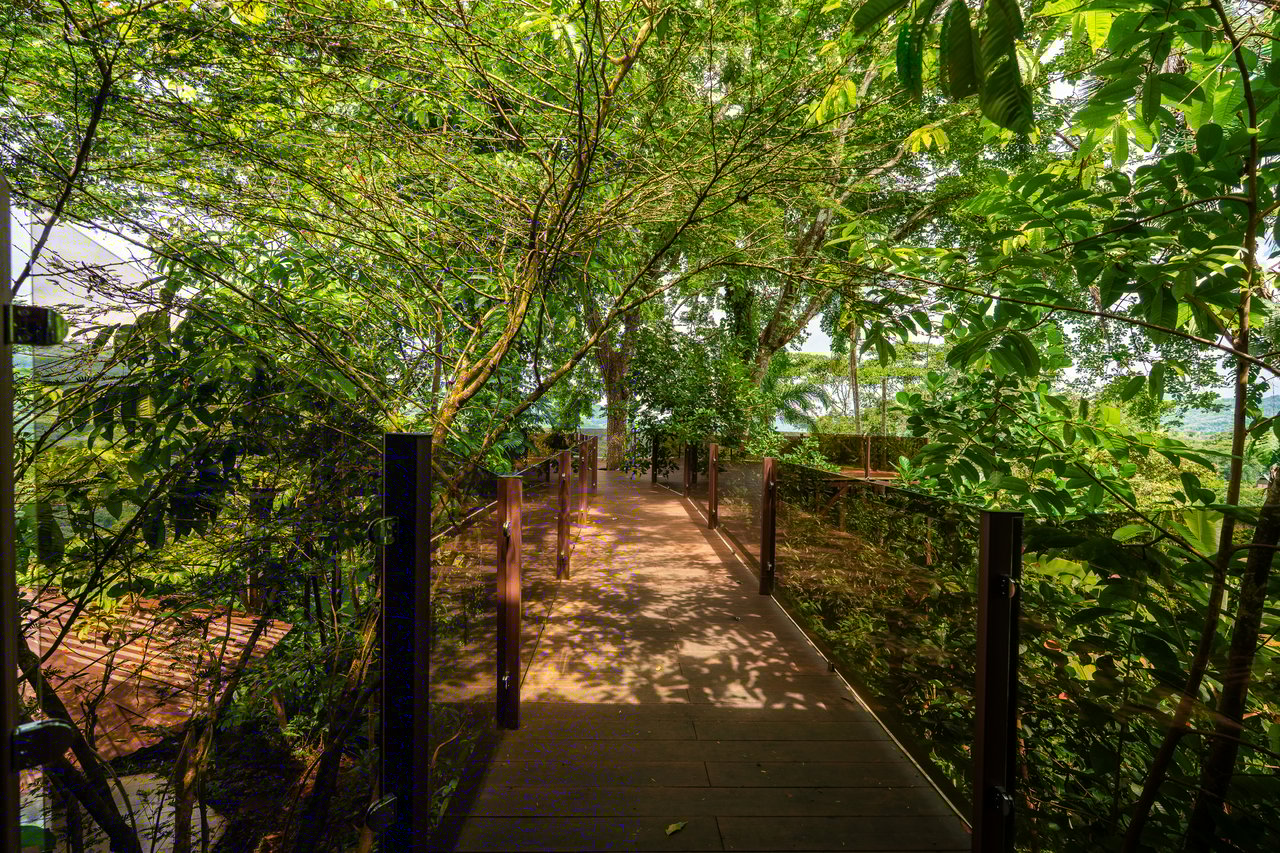 Where the Journey Begins | Private Jungle Estate at Nauyaca Waterfalls