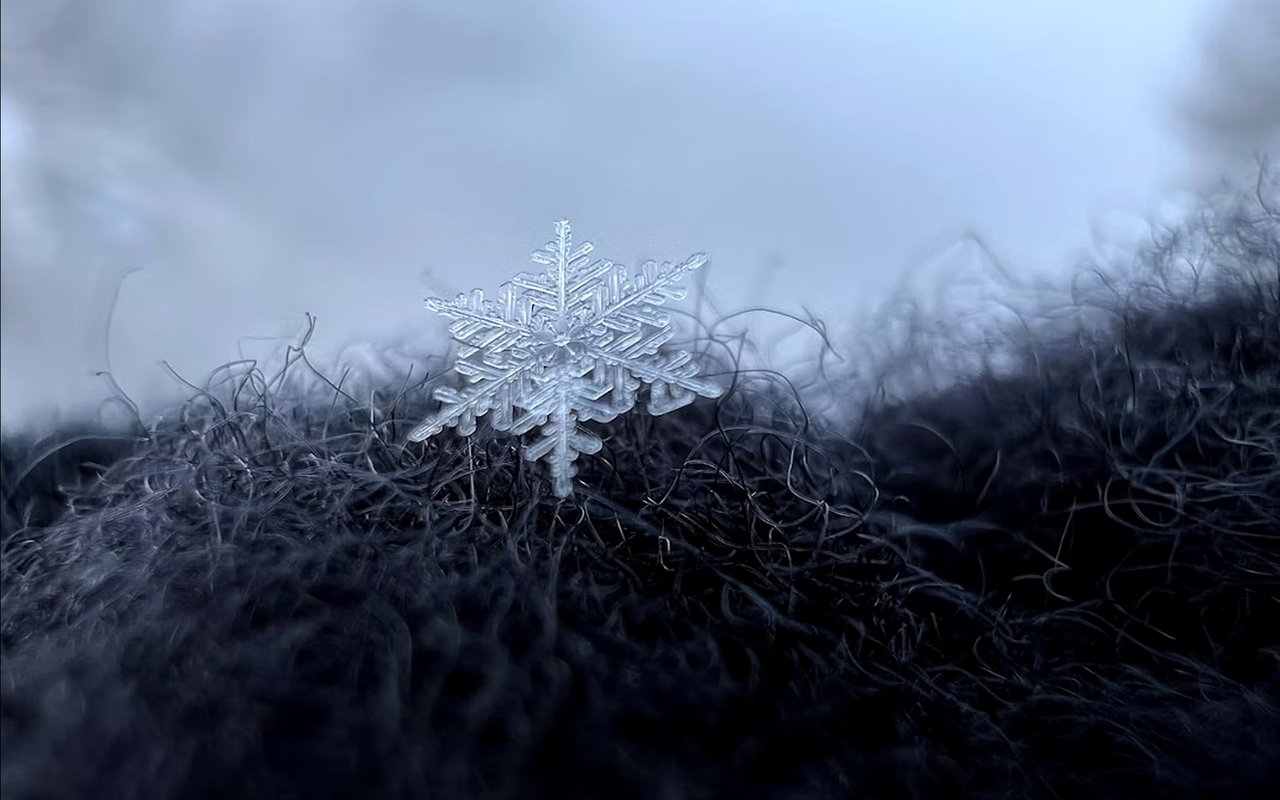 Winter Moving Tips in Colorado Springs