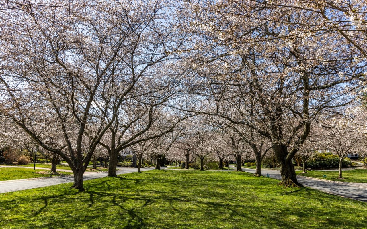 contact-form-background