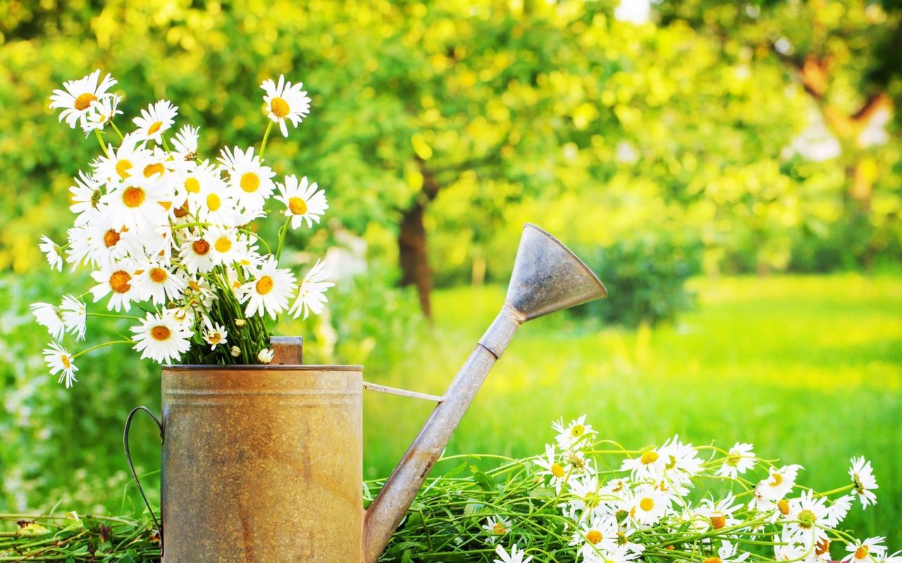 Garden Year Round in Your Home