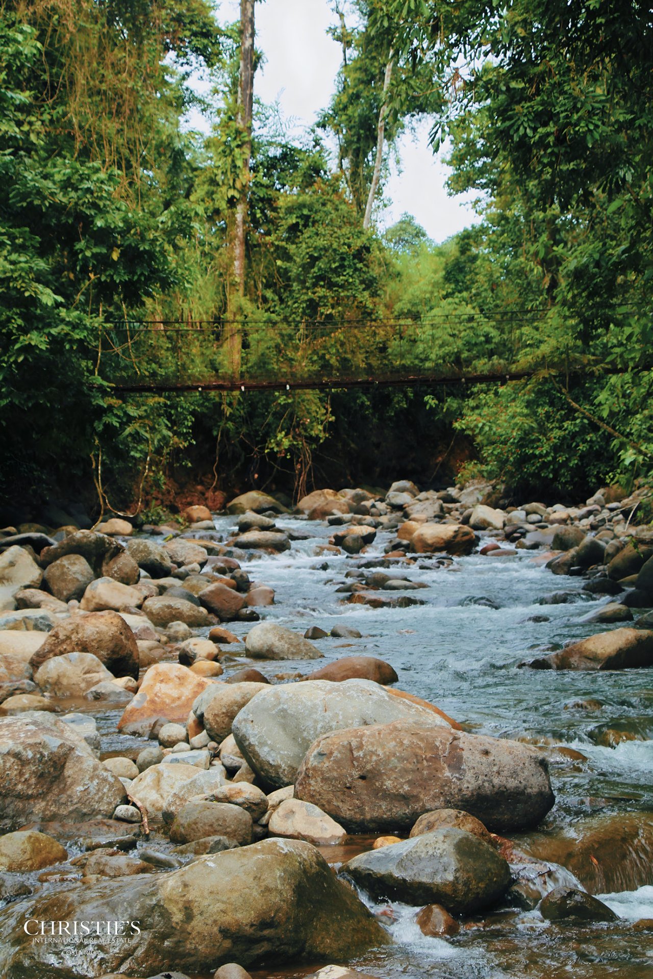 Finca Isla Rainforest Retreat – A Rare Income-Producing Paradise