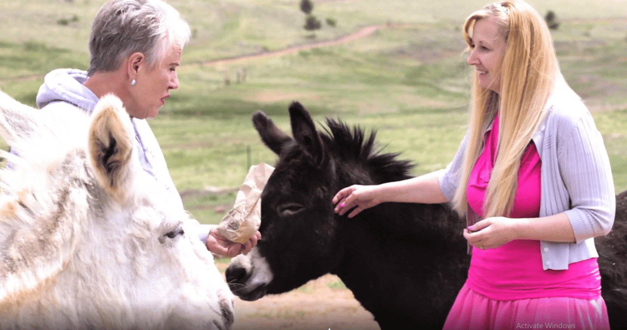 A Colorado Classic: Inside Cripple Creek’s Donkey Derby Days