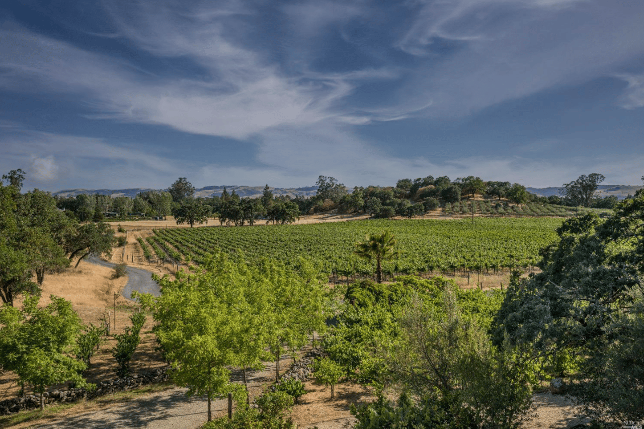 Property: Luxury Sonoma hobby vineyard listed for sale