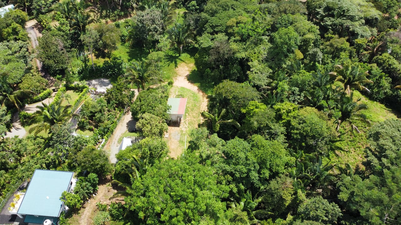 Investment Opportunity in Playa Hermosa – Fixer-Upper with Great Potential!