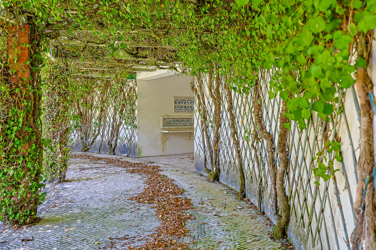 Magnificent 17th-Century Palace with  76,400 m² Estate Near Coimbra