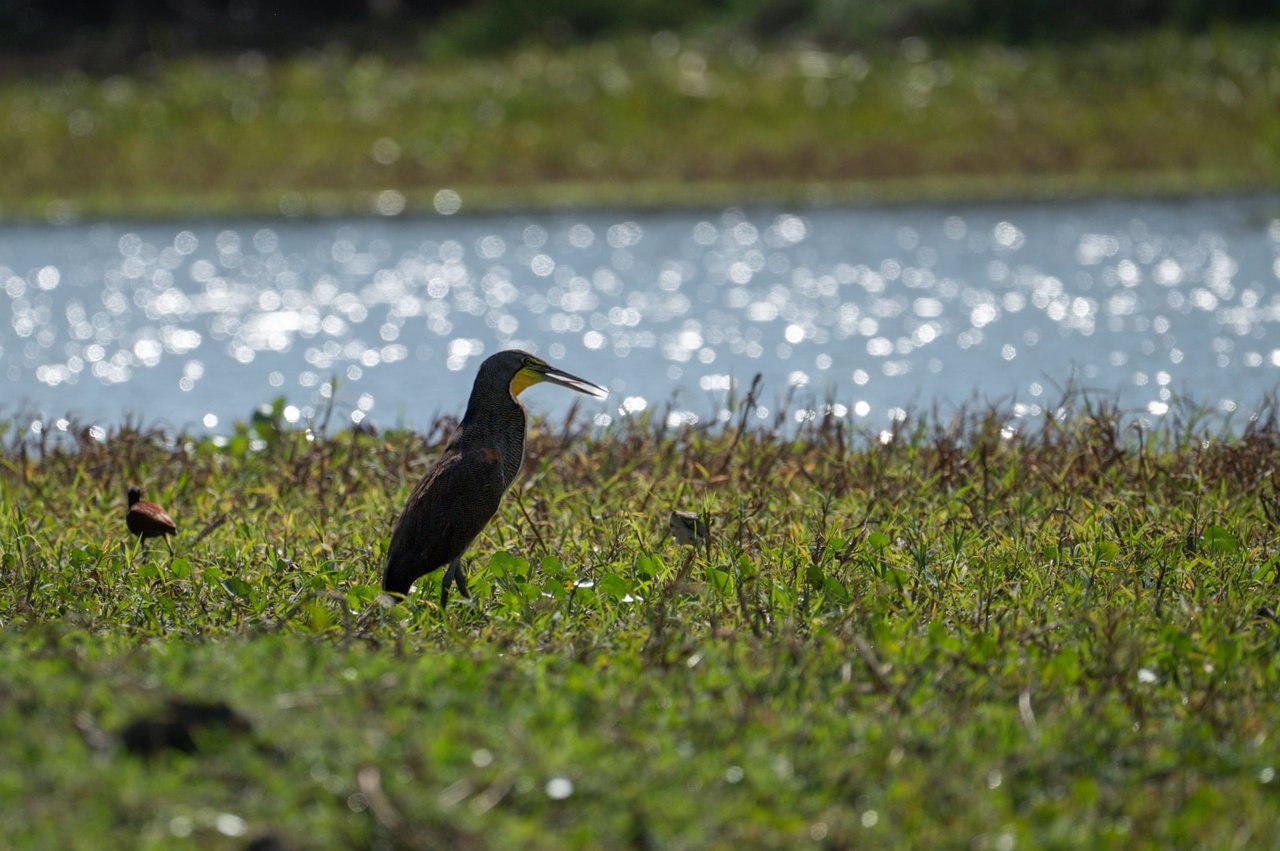 Prime 444-Acre Investment Opportunity 