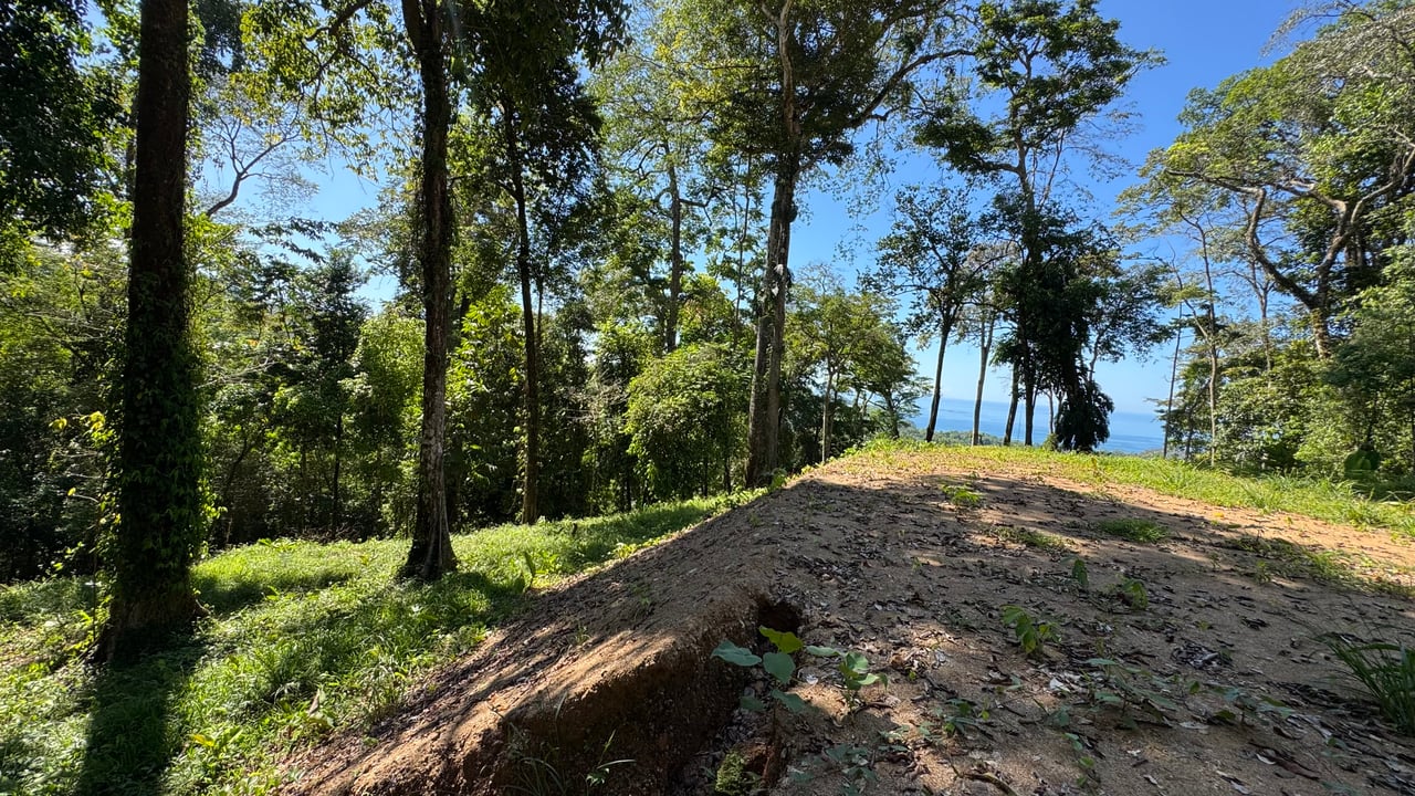 Two Ocean View Lots in Uvita – Easy Access and Large Building Sites