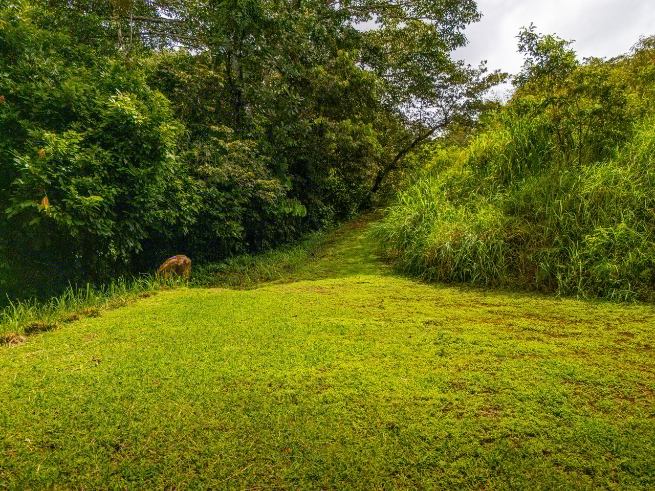 Plant Your Roots at Tierra Bendita! 2.5 Acres, River Frontage, 2 Bedroom Home, Private, Easy Access!