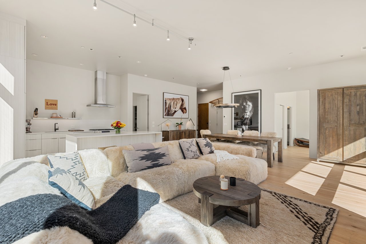 Contemporary Condo at Park Modern