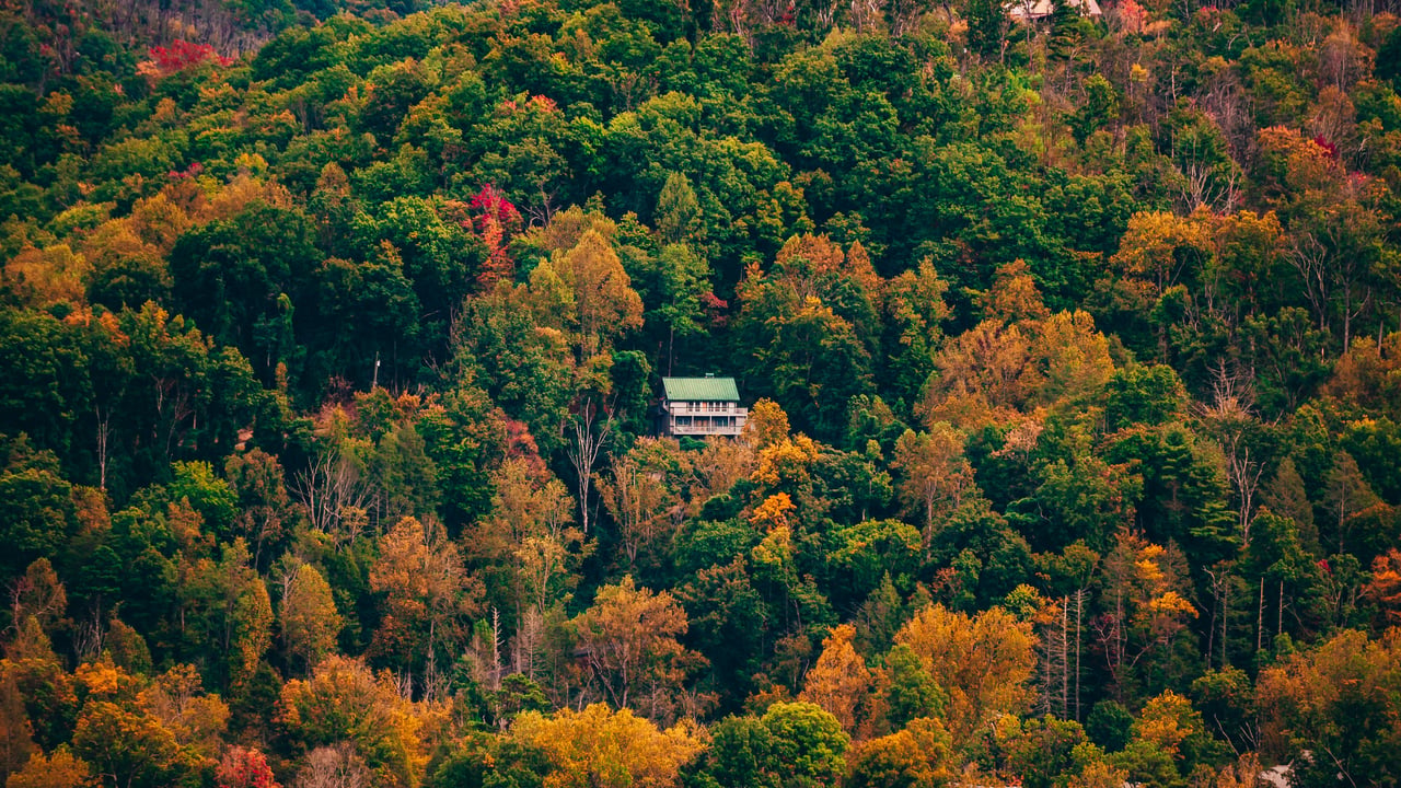 Beyond the Listing: What You Need to Know Before Buying in North Georgia