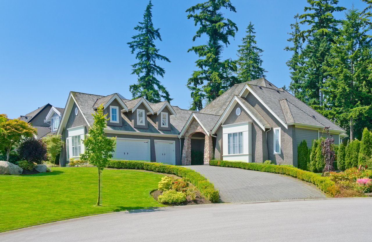 contact-form-background