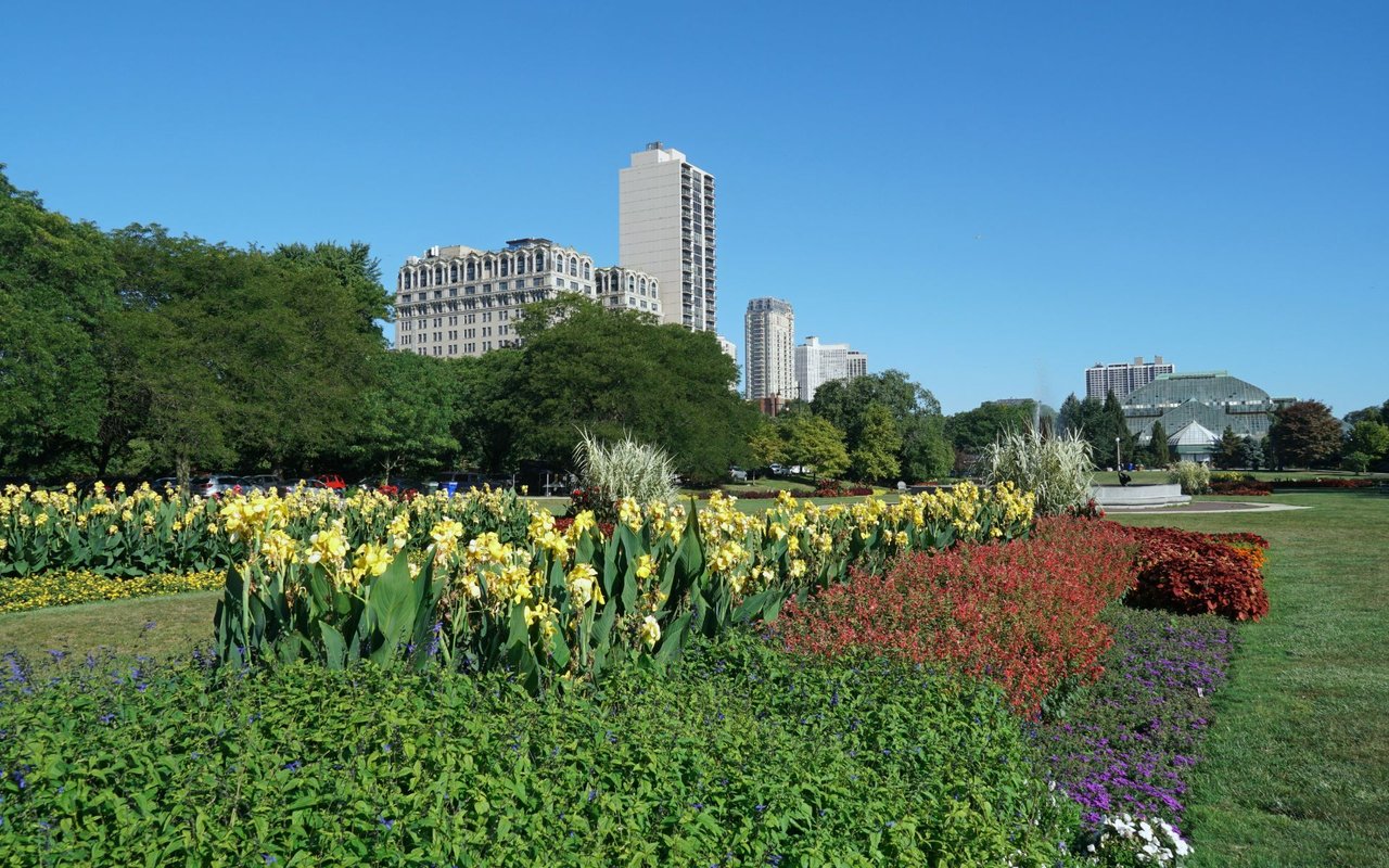 Lincoln Park