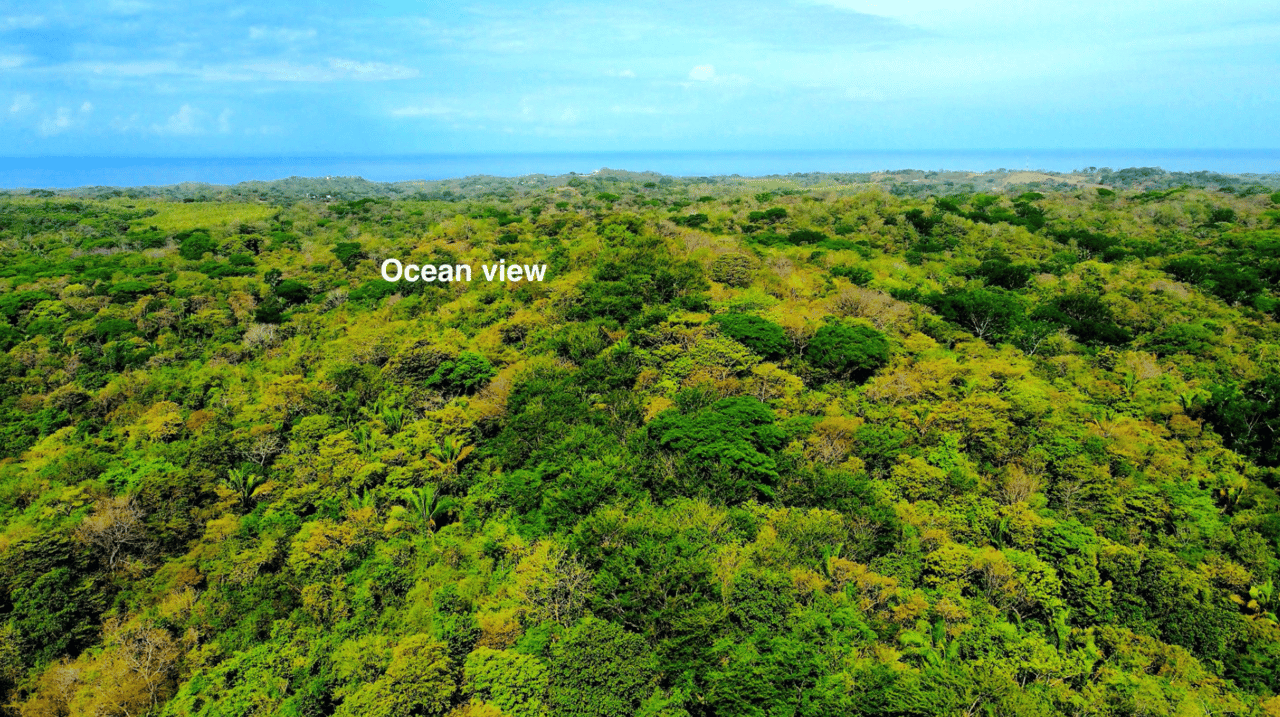 Eco Sanctuary In Playa Marbella - 250 Acre Riverfront