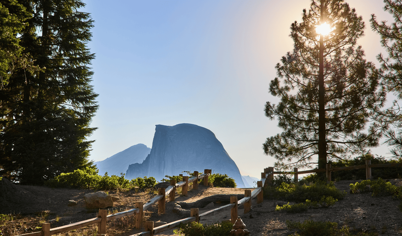 Thriving in Yosemite
