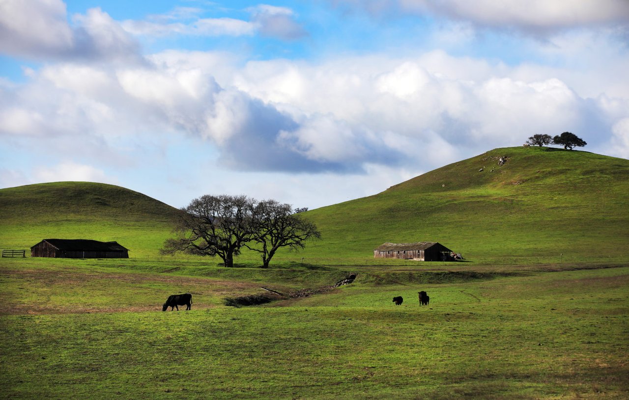 A Bucket List of Essential Things To Do in Sonoma County